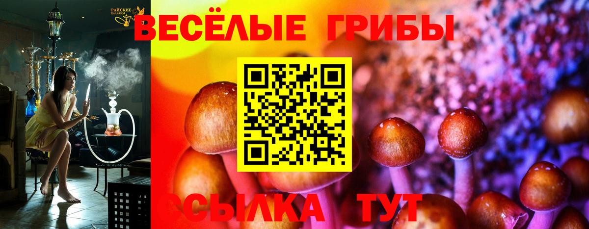 Галлюциногенные грибы прущие грибы  Псилоцибиновые грибы ЛСД  как найти наркотики  Изобильный  Вход с VPN 